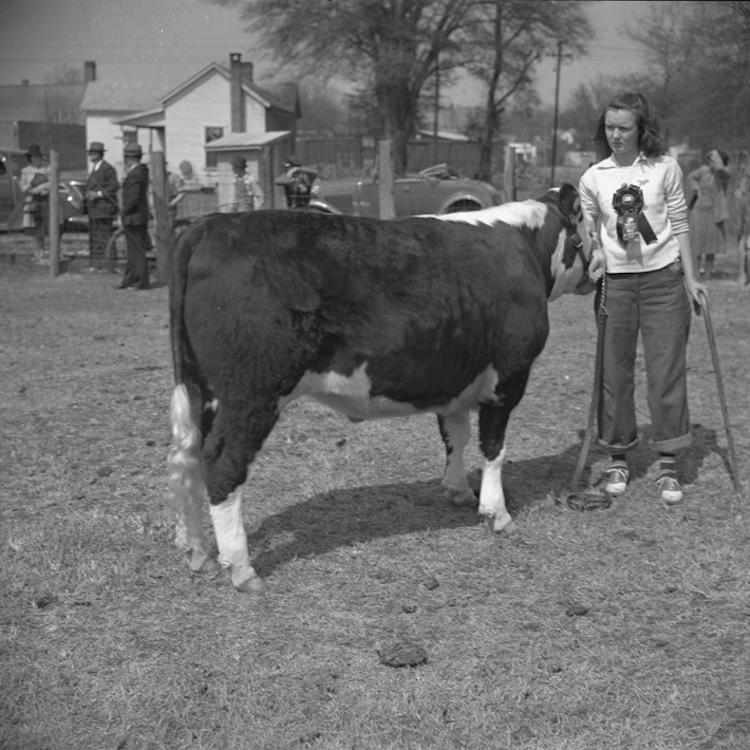 Stories, photos & funds sought for Georgia Cattle History Book